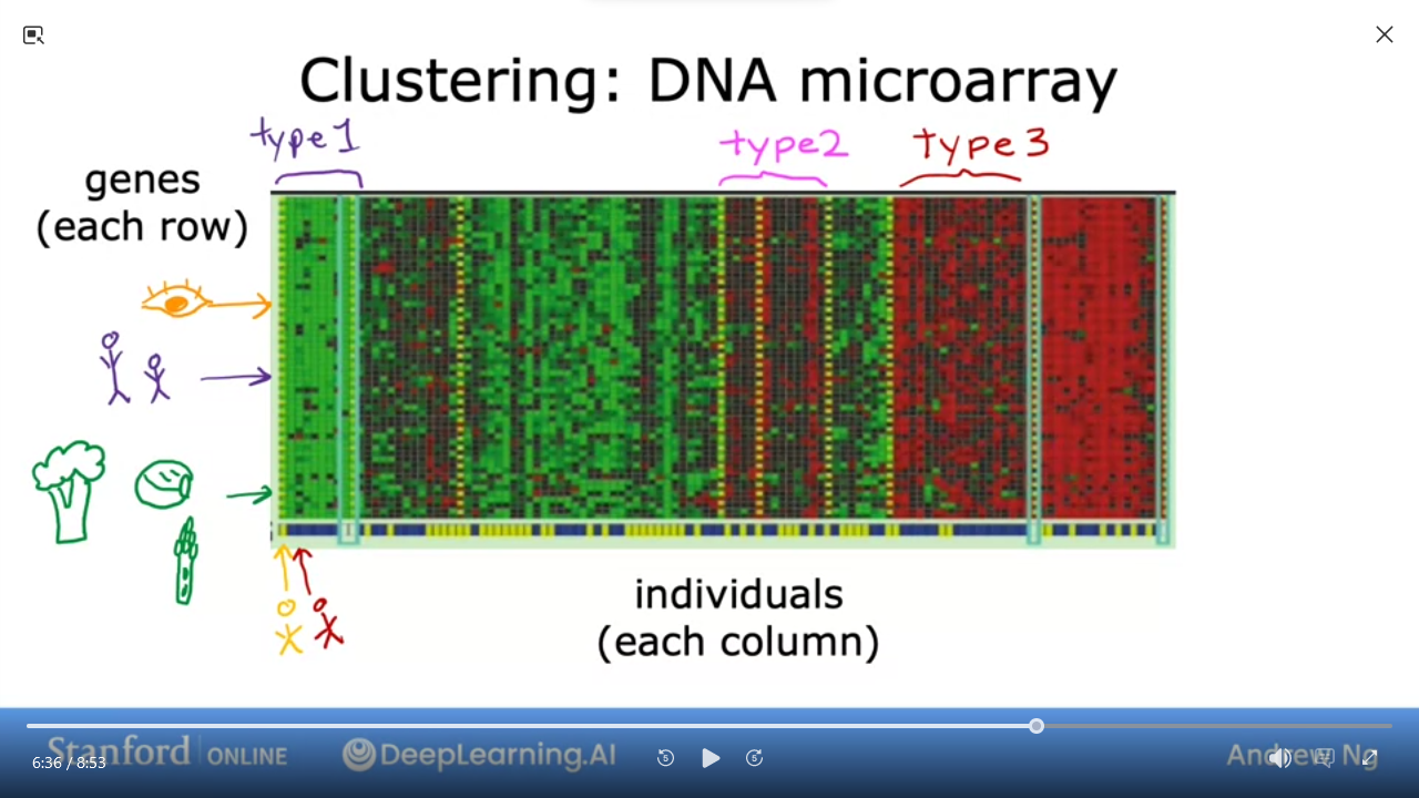 img/clustering.dna.microarray.png
